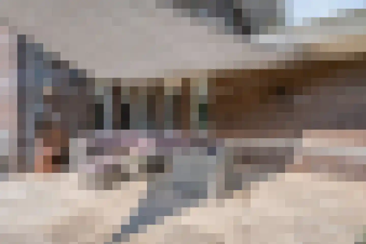 Buitensingel 10 Steenwijk thumbnail 69