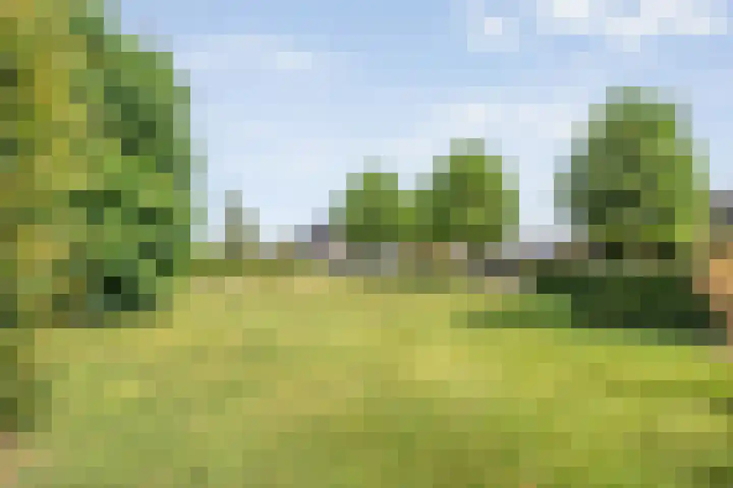 Buitensingel 10 Steenwijk thumbnail 72