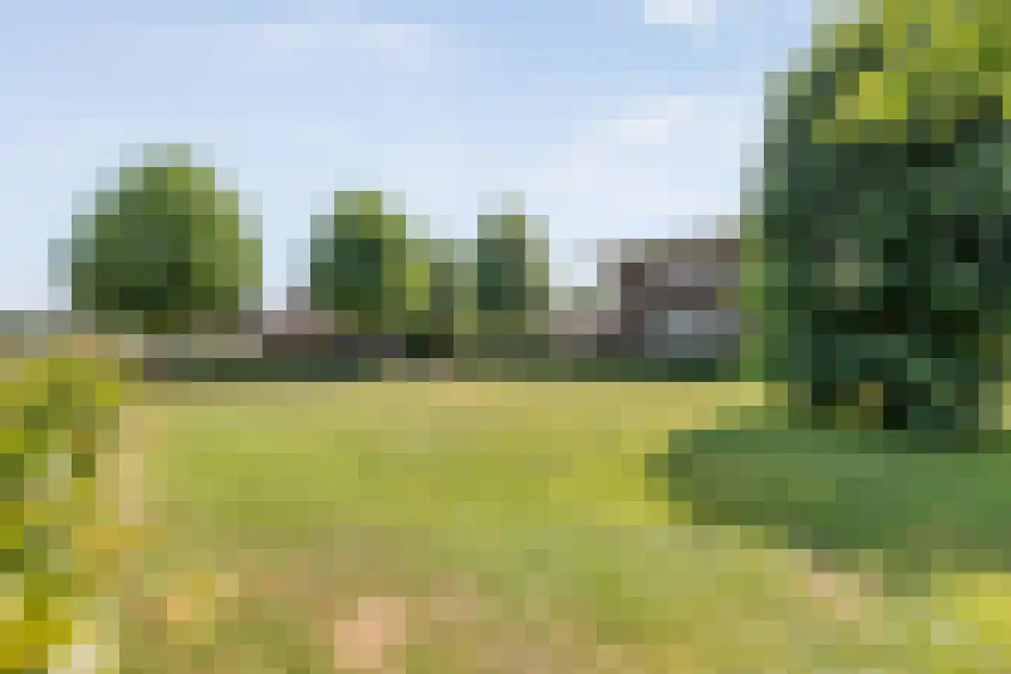 Buitensingel 10 Steenwijk thumbnail 73