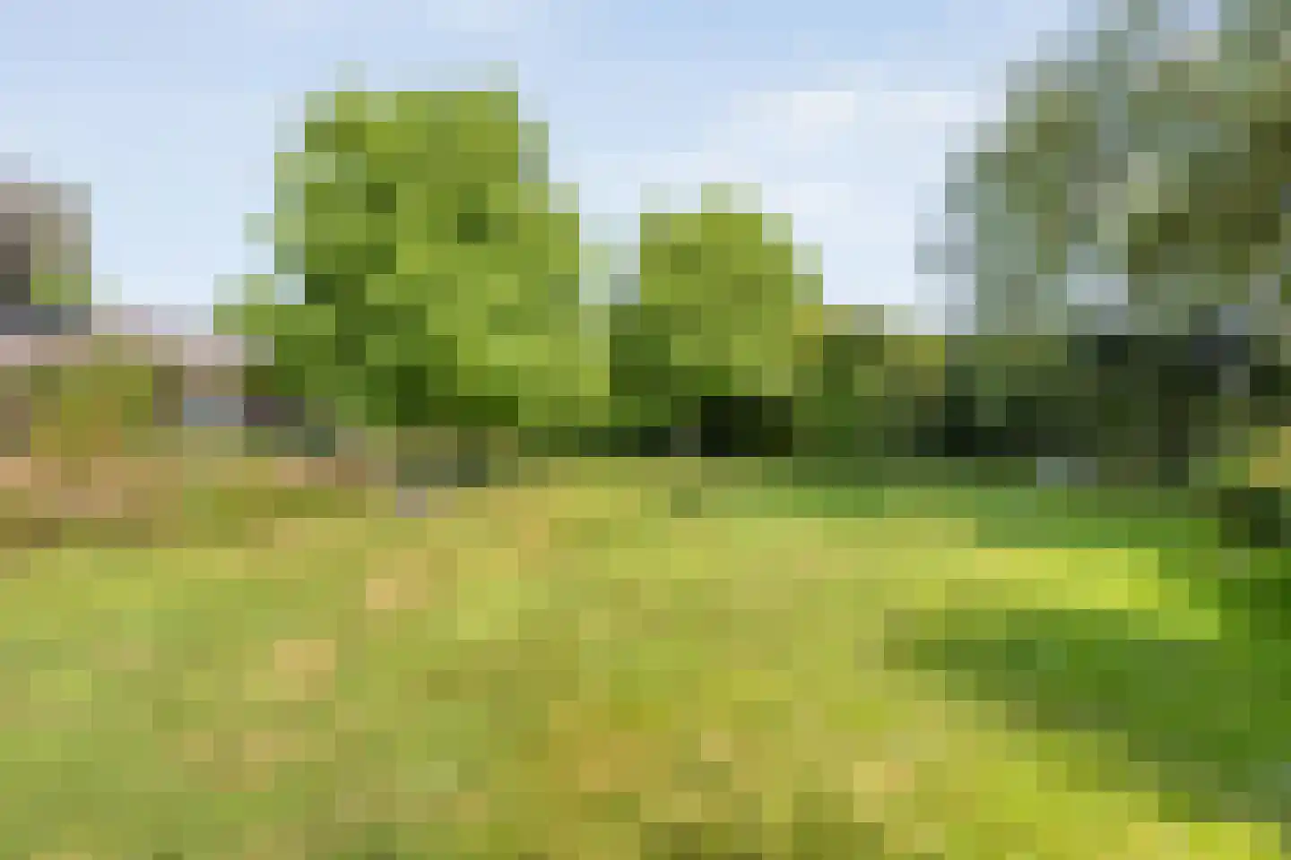 Buitensingel 10 Steenwijk thumbnail 90