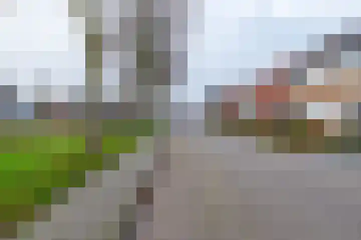 Buitensingel 11 Winsum foto 2