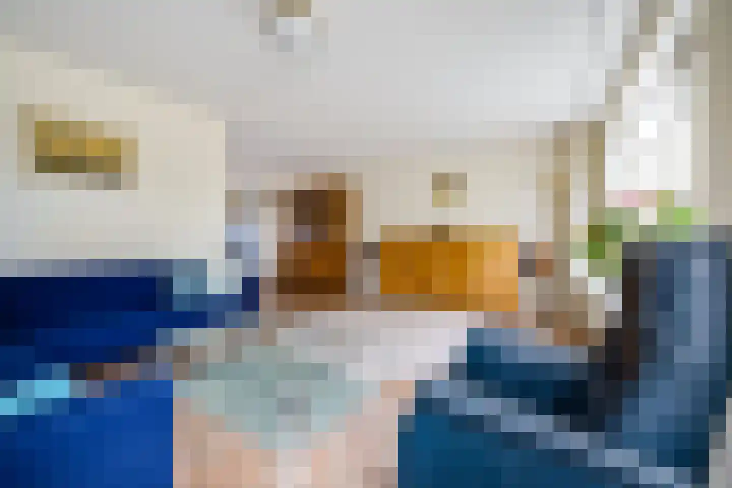 Buitensingel 123 Sappemeer thumbnail 12