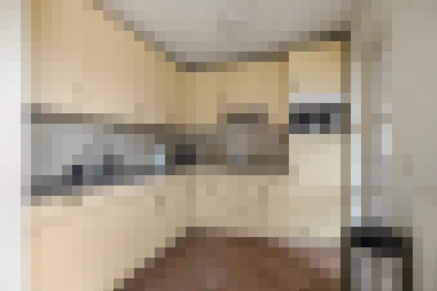 Buitensingel 123 Sappemeer thumbnail 16