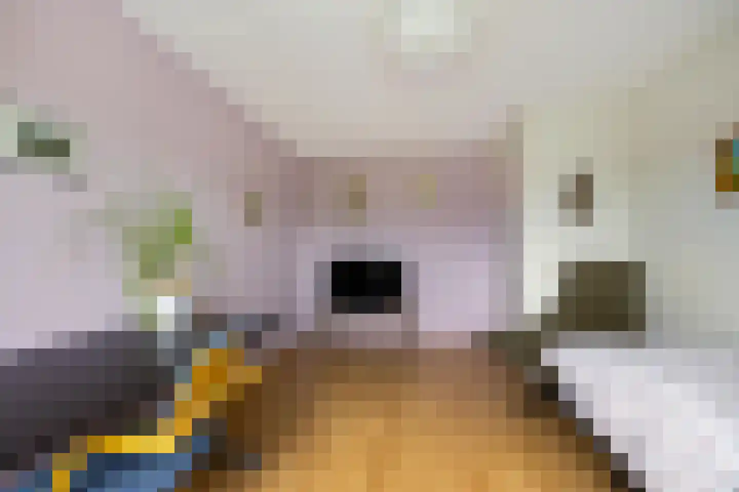Buitensingel 123 Sappemeer thumbnail 34