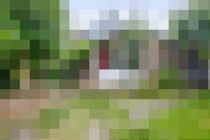 Buitensingel 14 Zutphen thumbnail 43