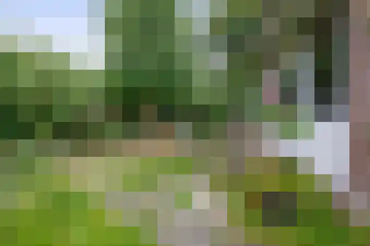 Buitensingel 14 Zutphen thumbnail 44
