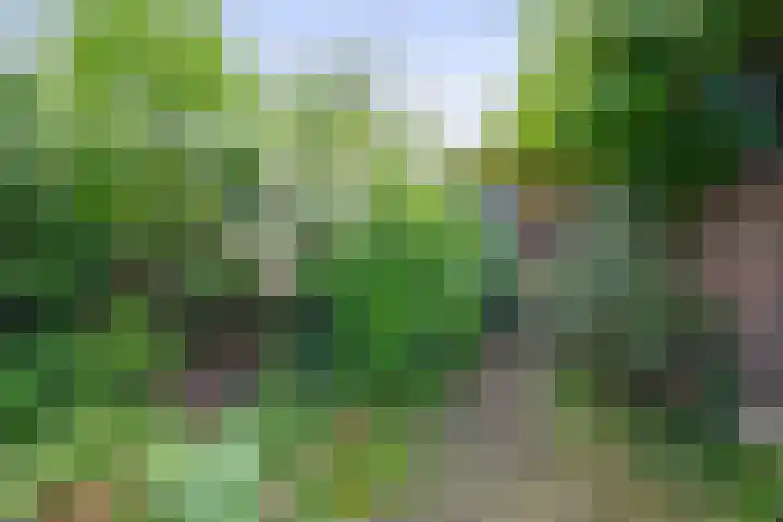 Buitensingel 14 Zutphen thumbnail 45