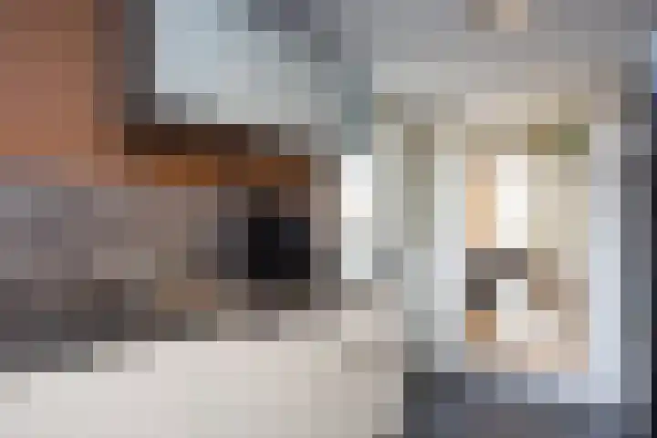 Buitensingel 15 Zutphen thumbnail 12
