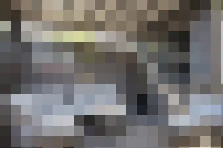 Buitensingel 15 Zutphen thumbnail 23