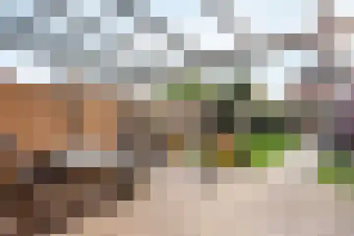 Buitensingel 17 Borne thumbnail 19