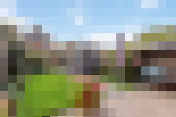 Buitensingel 17 Borne thumbnail 20