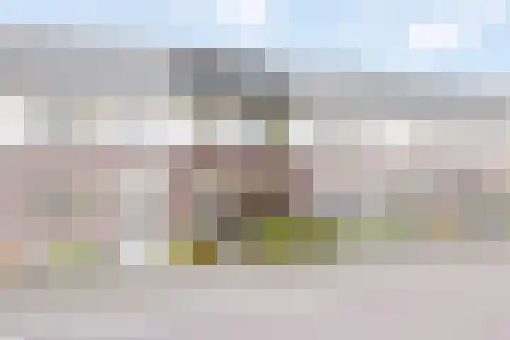 Buitensingel 17 Borne thumbnail 6
