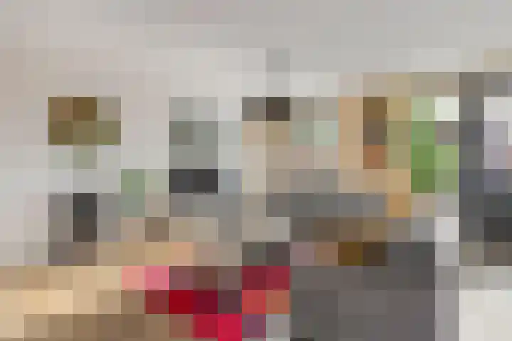 Buitensingel 17 Borne thumbnail 9