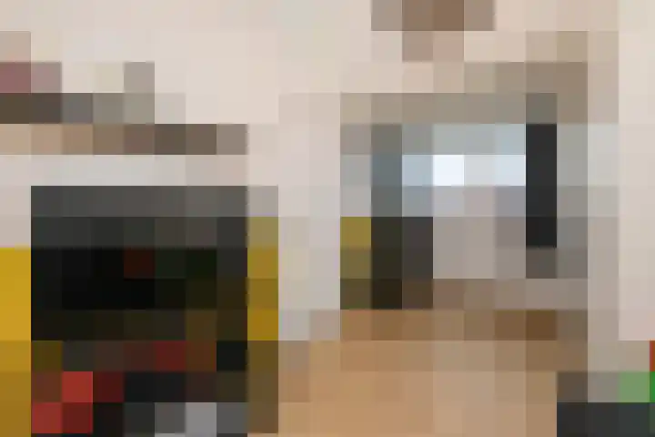 Buitensingel 19 Rijswijk thumbnail 31