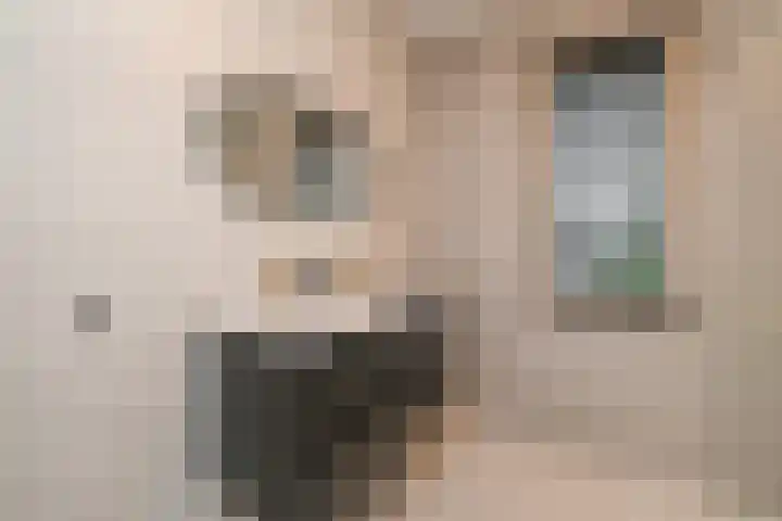 Buitensingel 19 Rijswijk thumbnail 4