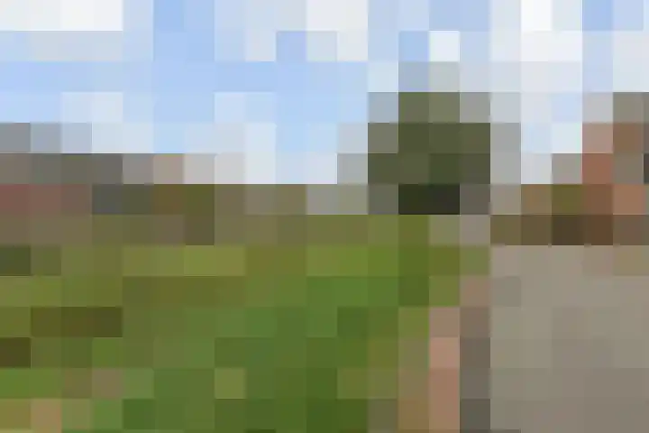 Buitensingel 19 Rijswijk thumbnail 43
