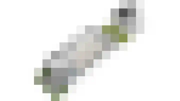 Buitensingel 19 Rijswijk thumbnail 51