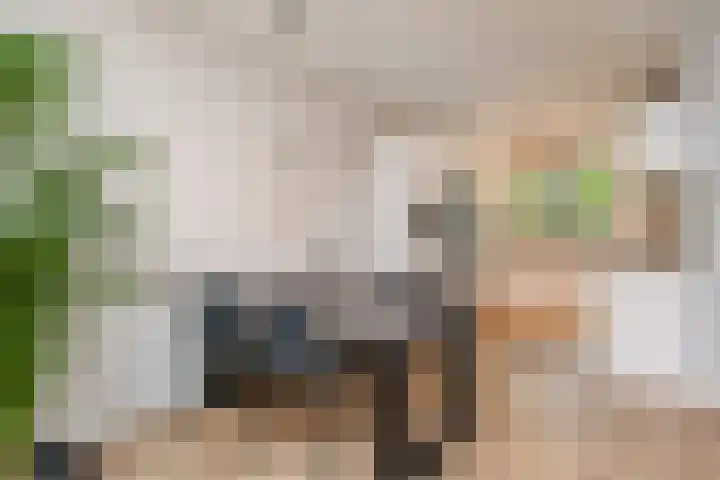 Buitensingel 19 Rijswijk thumbnail 7