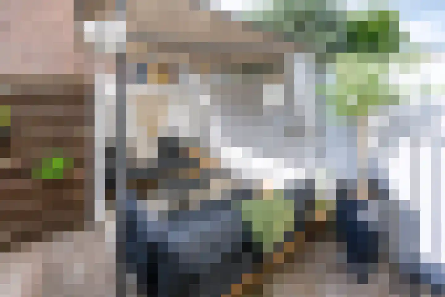 Buitensingel 2 Zutphen thumbnail 11
