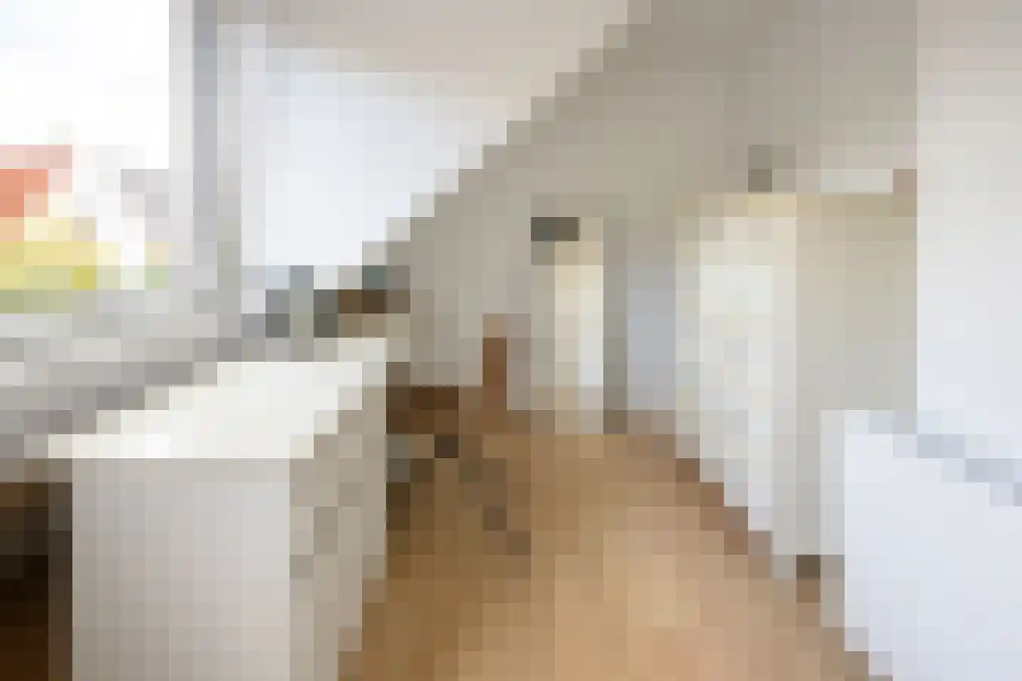 Buitensingel 2 Zutphen thumbnail 18