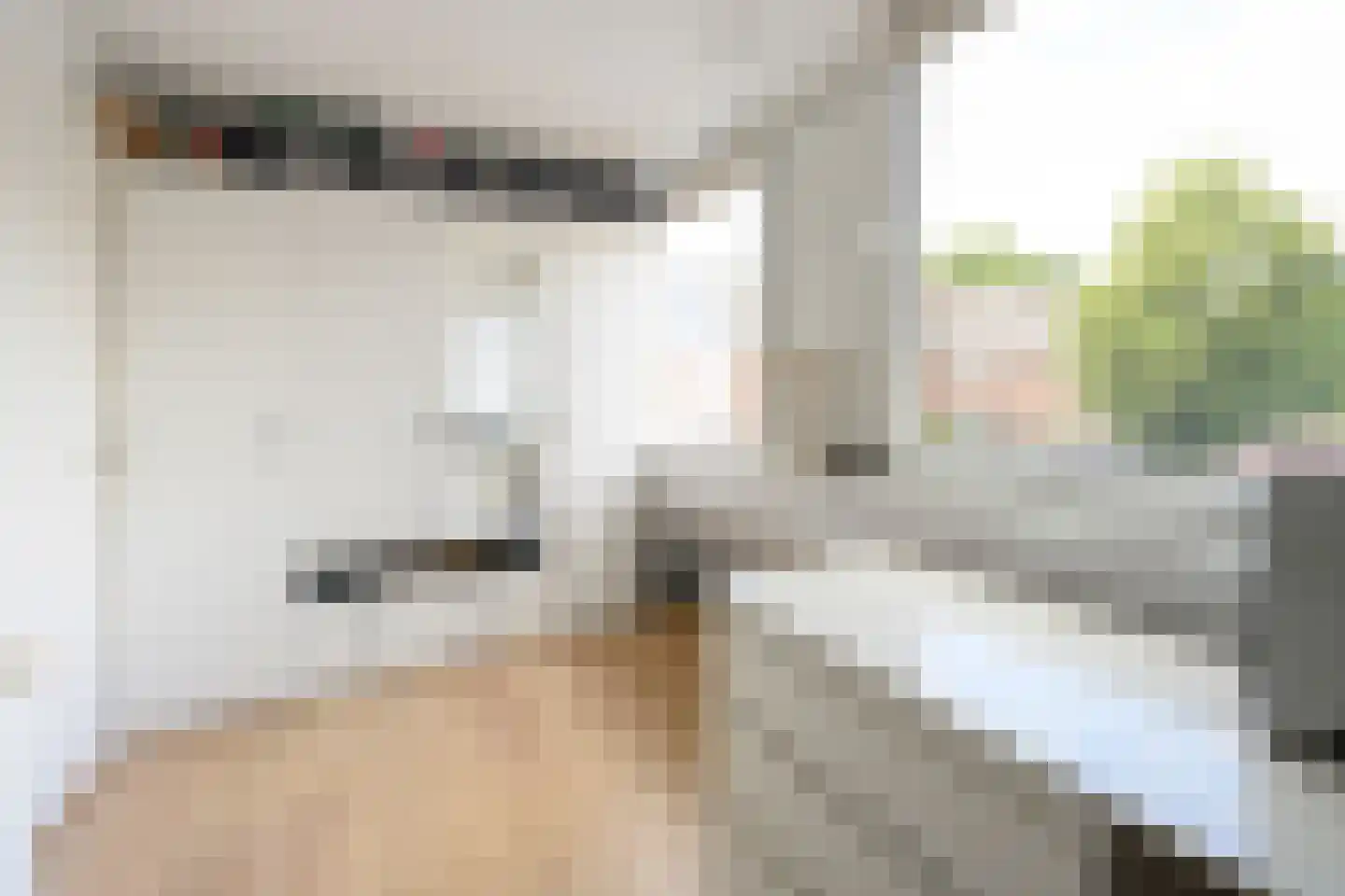 Buitensingel 2 Zutphen thumbnail 19