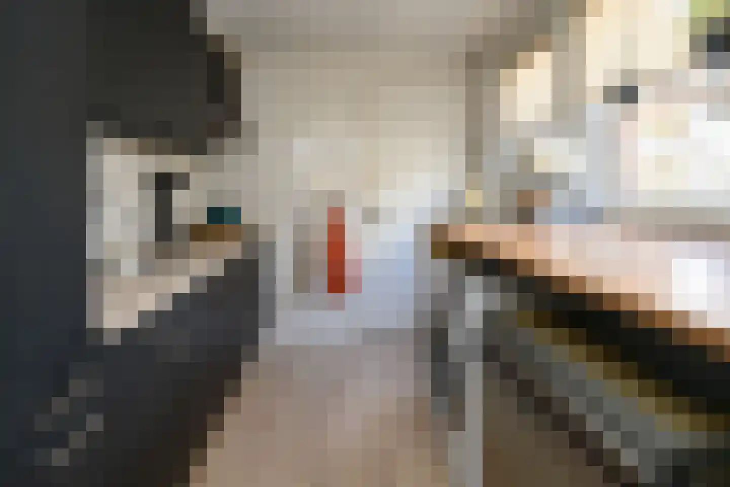 Buitensingel 2 Zutphen thumbnail 7
