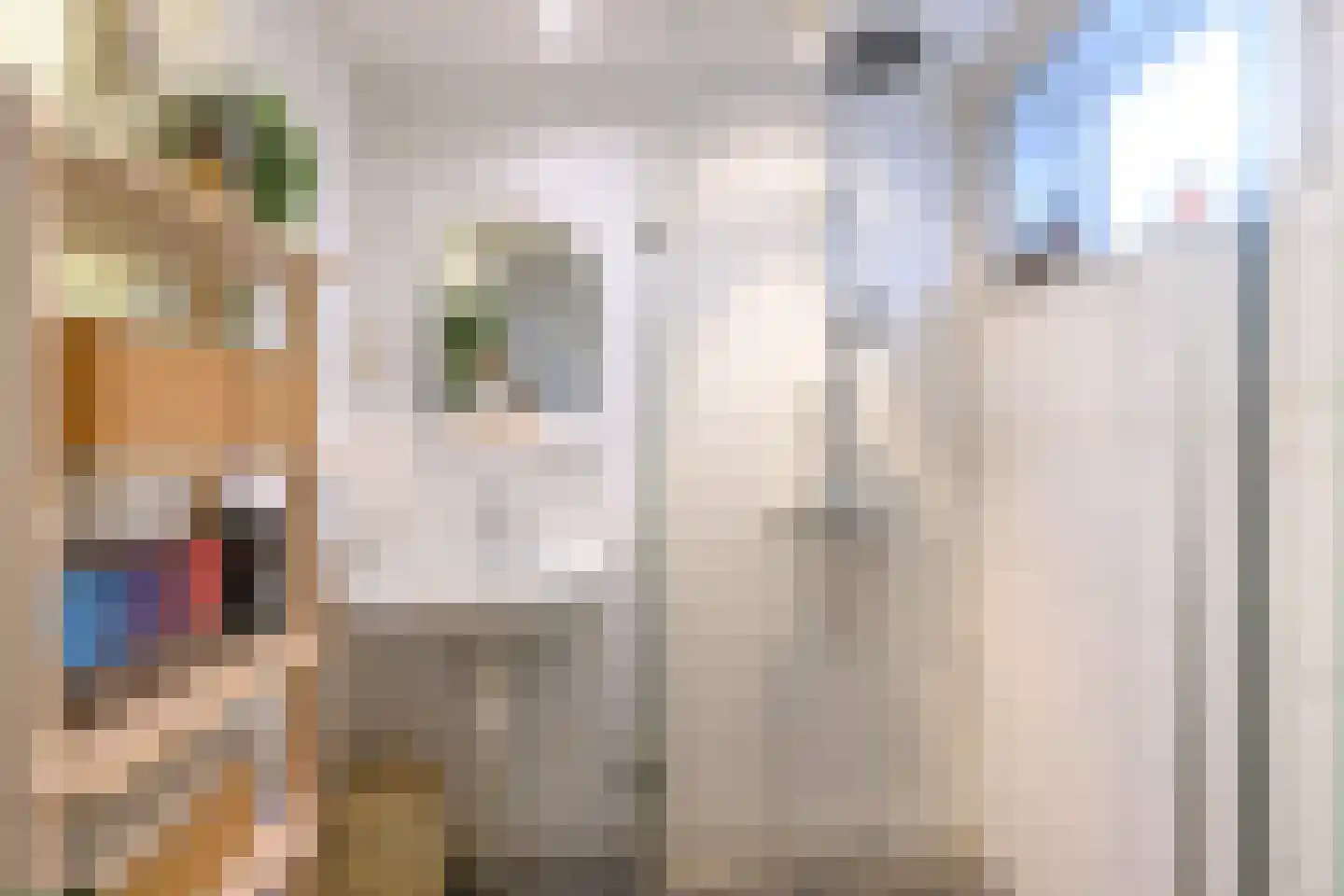 Buitensingel 2 Zutphen thumbnail 9