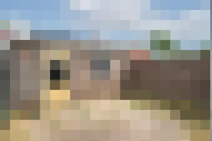 Buitensingel 21 Zutphen thumbnail 16