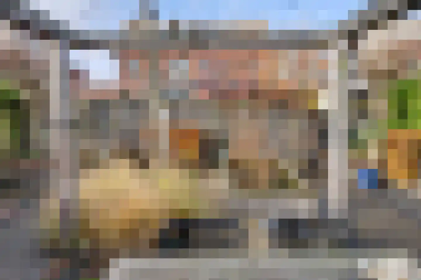 Buitensingel 22 Sappemeer thumbnail 14