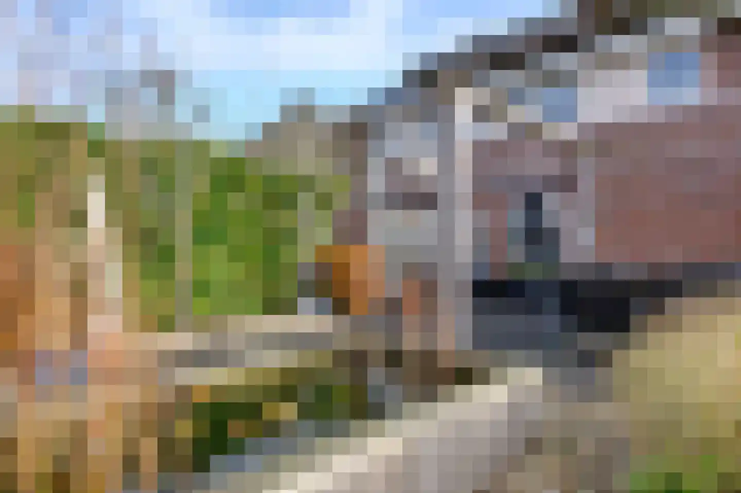 Buitensingel 22 Sappemeer thumbnail 17