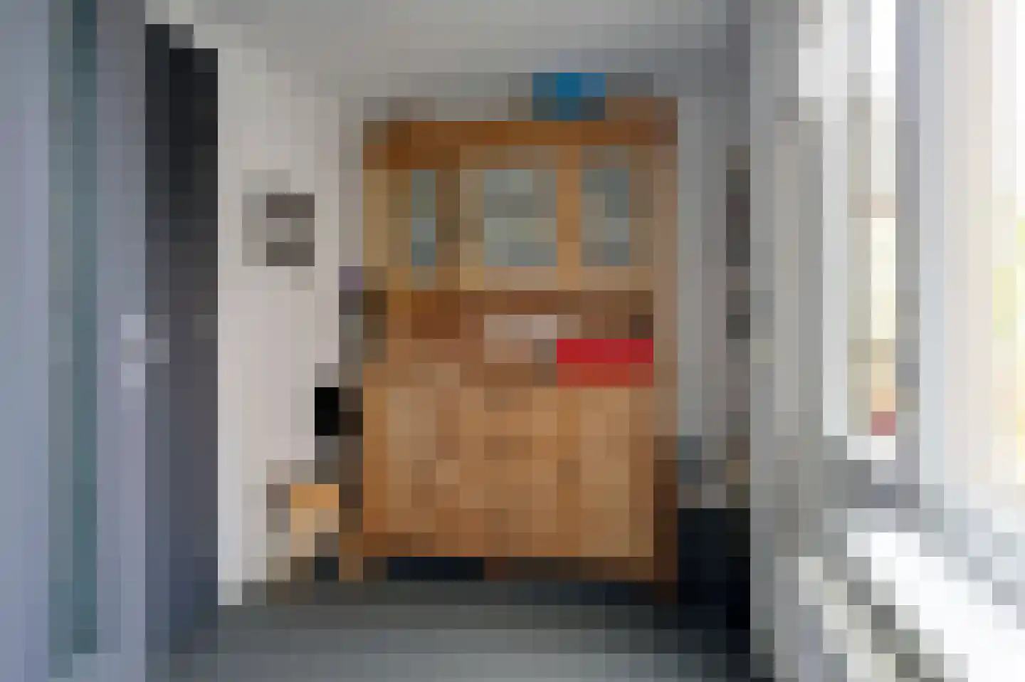Buitensingel 22 Sappemeer thumbnail 33