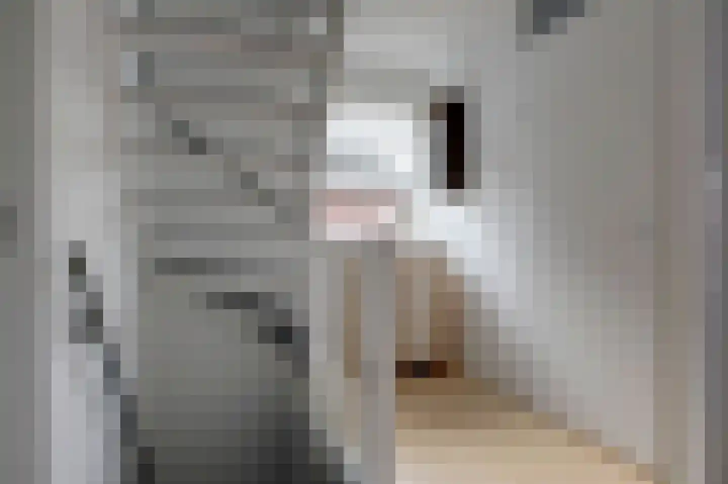Buitensingel 22 Sappemeer thumbnail 35