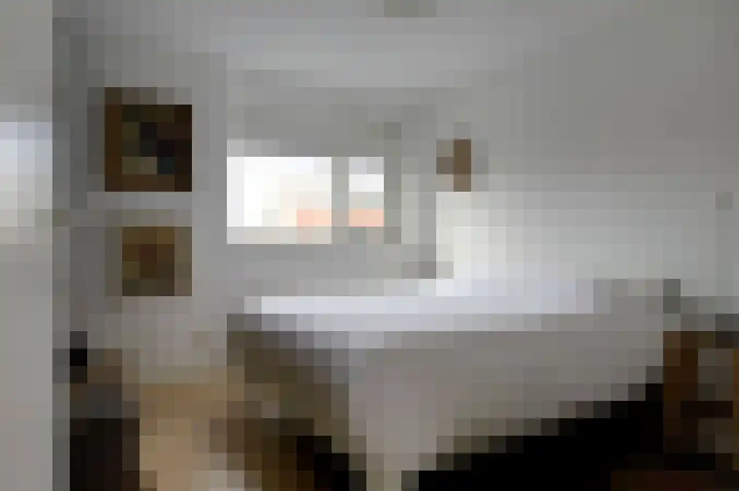Buitensingel 22 Sappemeer thumbnail 37