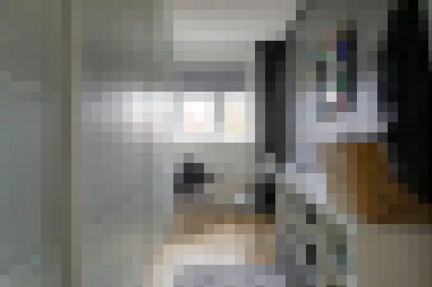 Buitensingel 22 Sappemeer thumbnail 38