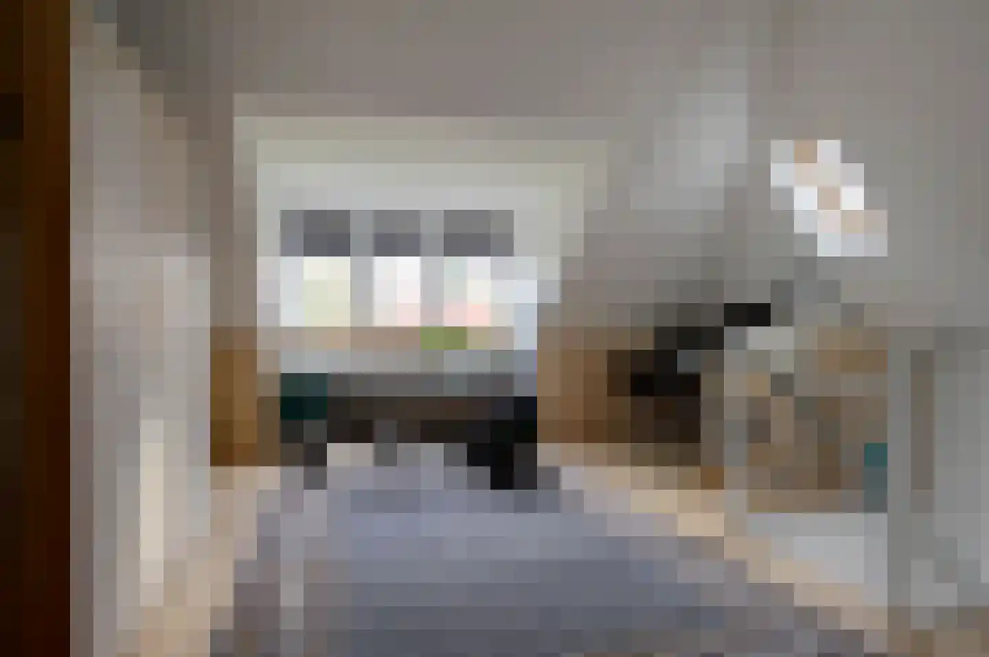 Buitensingel 22 Sappemeer thumbnail 41