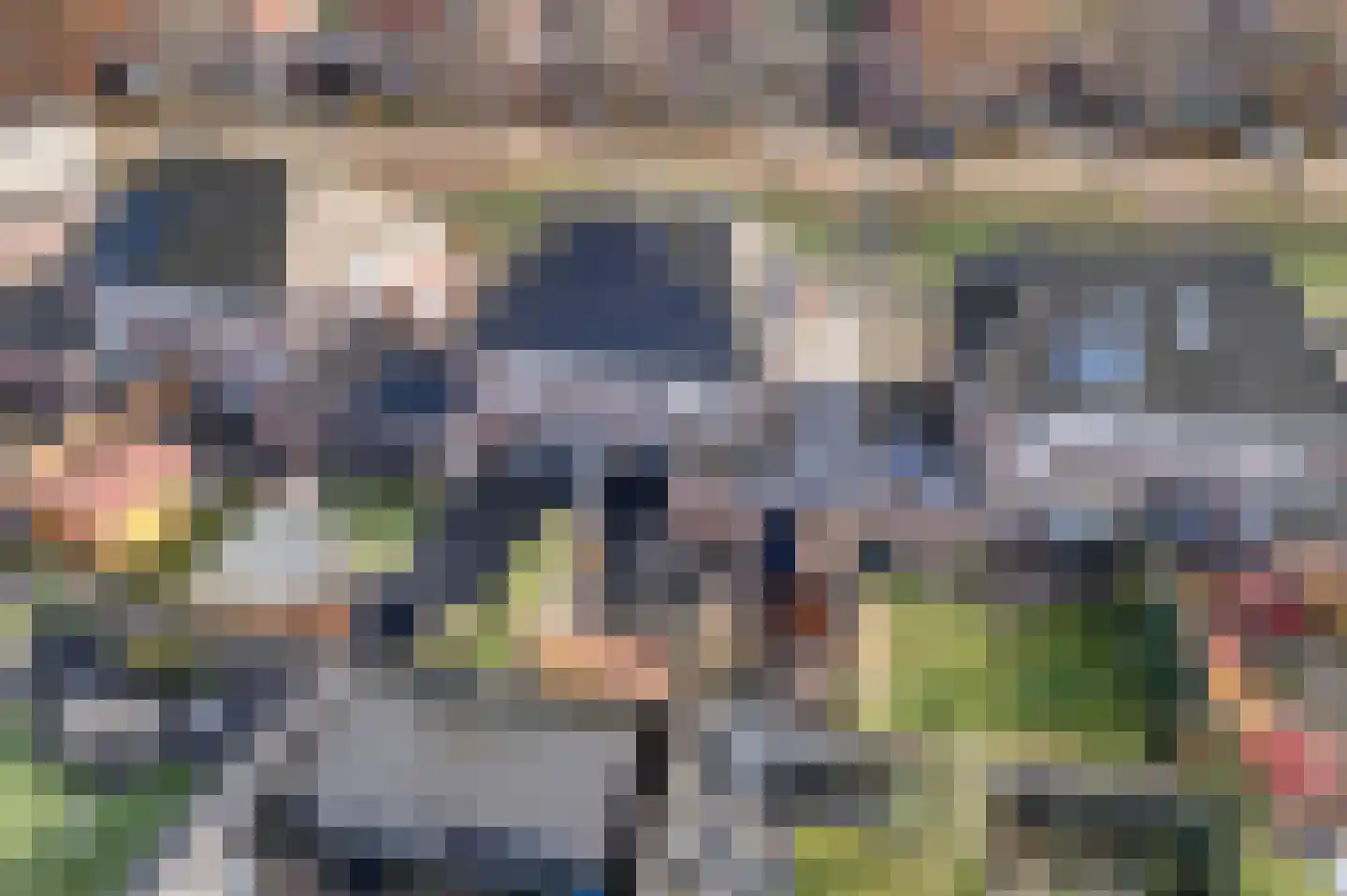 Buitensingel 22 Sappemeer thumbnail 8