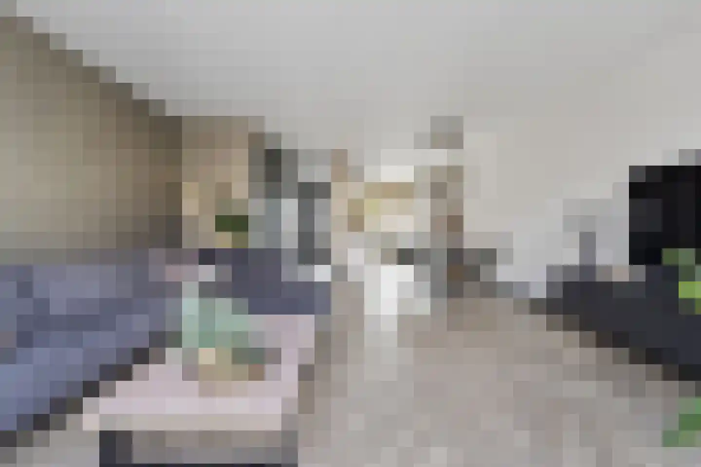 Buitensingel 25 Rijswijk thumbnail 8