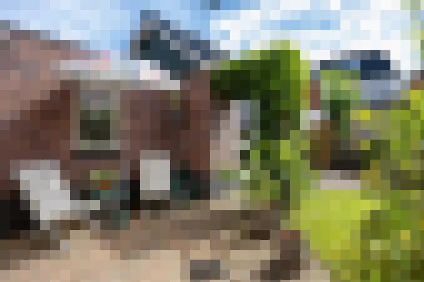 Buitensingel 26 Delfzijl thumbnail 46
