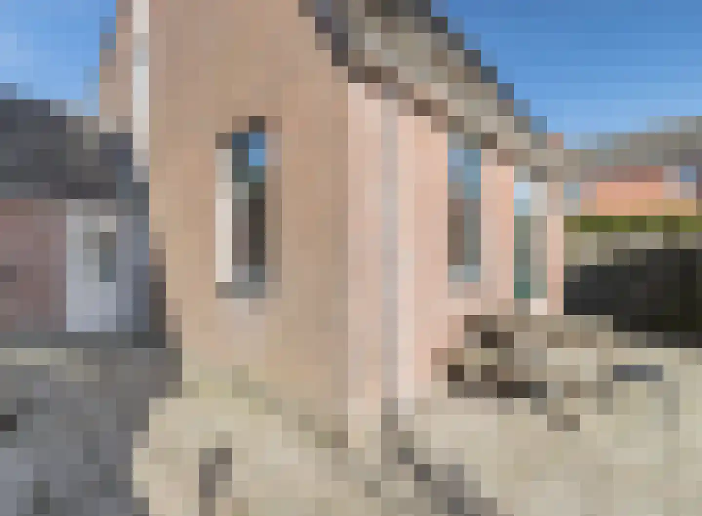Buitensingel 29 Oldehove thumbnail 22