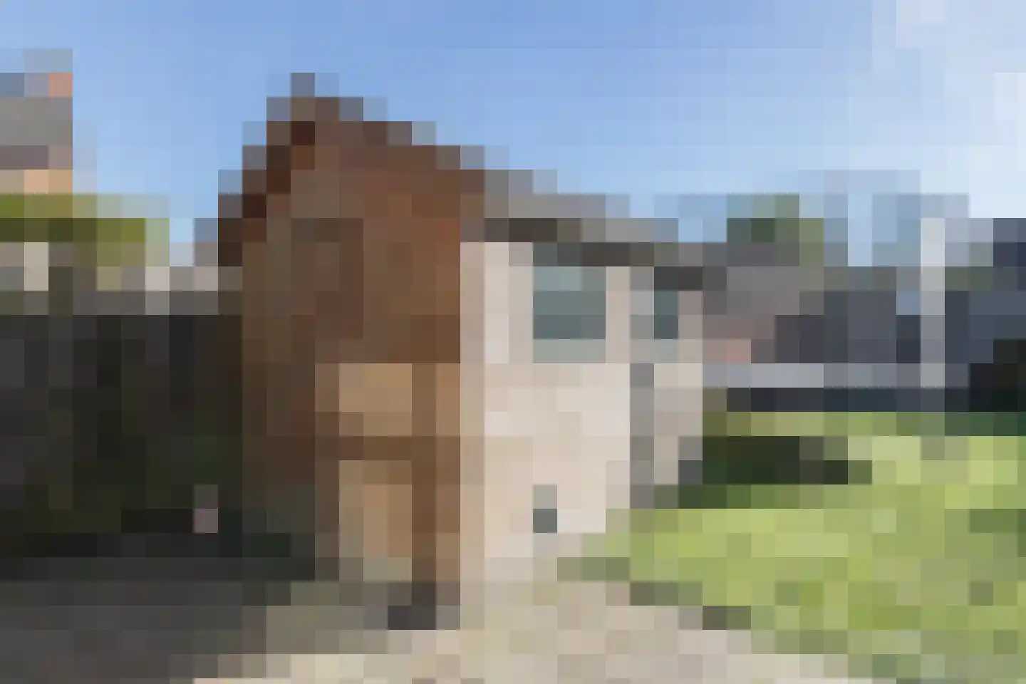 Buitensingel 29 Oldehove thumbnail 25
