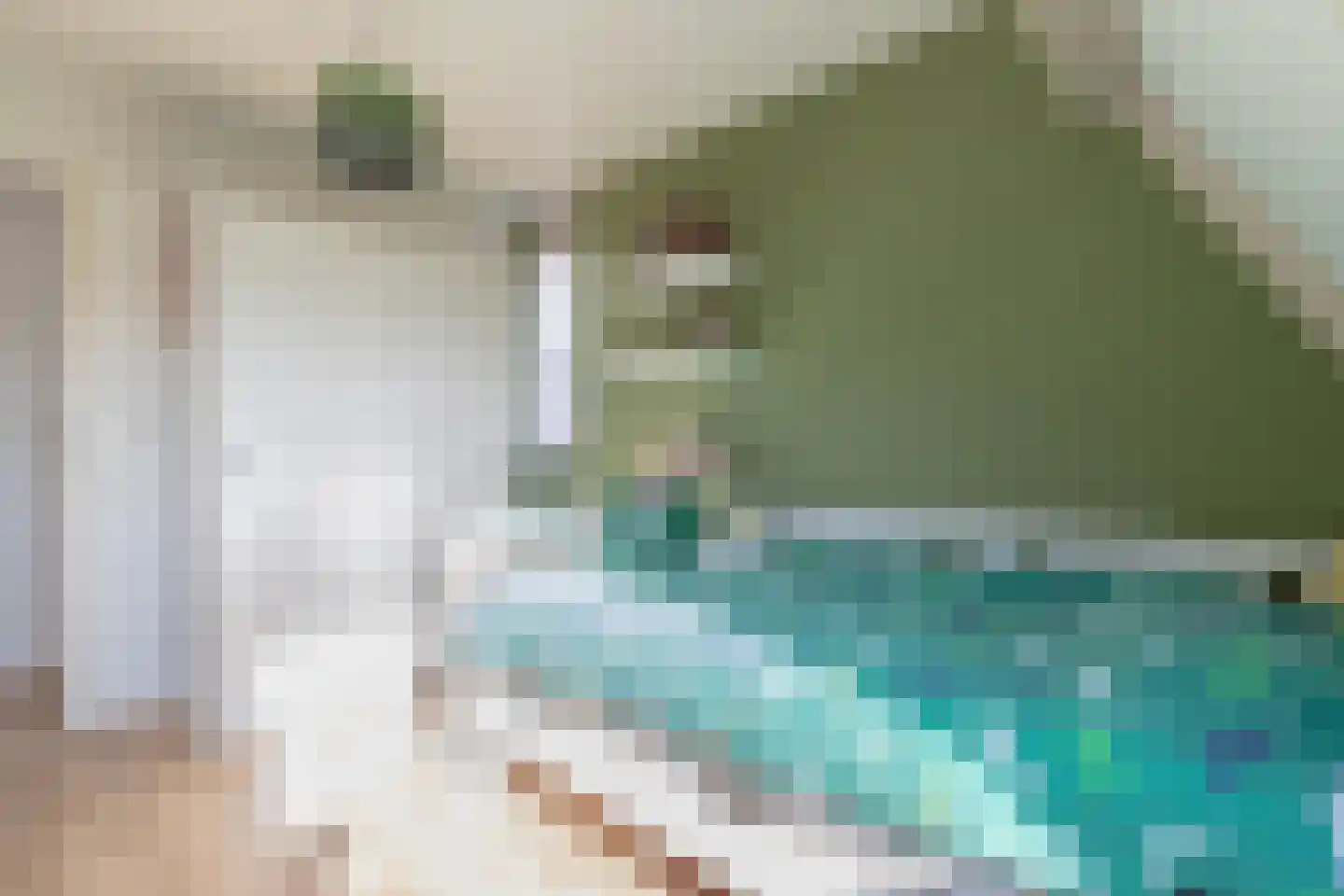 Buitensingel 29 Oldehove thumbnail 33