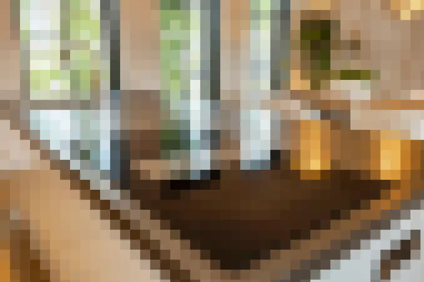 Buitensingel 31 Borne thumbnail 14