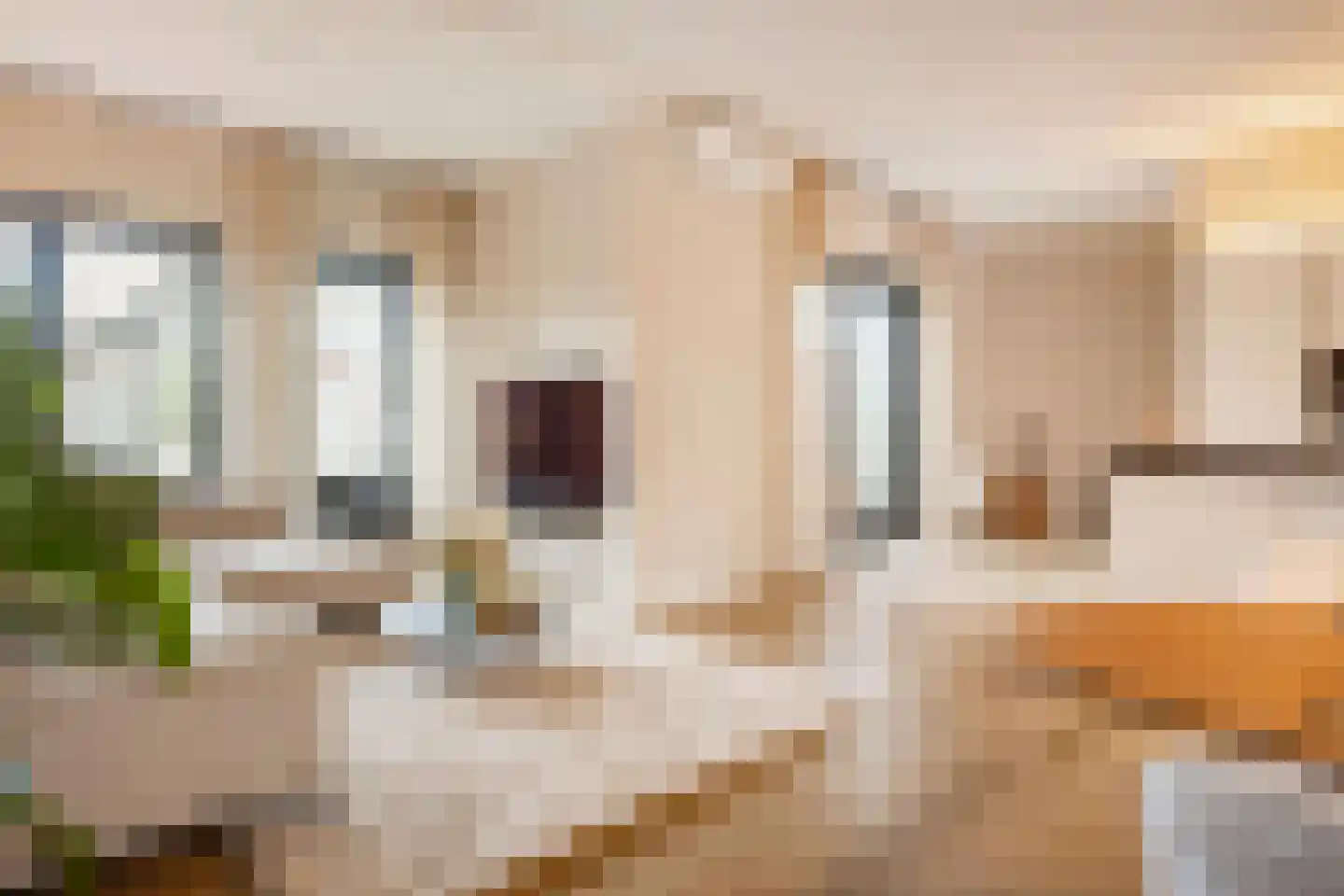 Buitensingel 31 Borne thumbnail 21