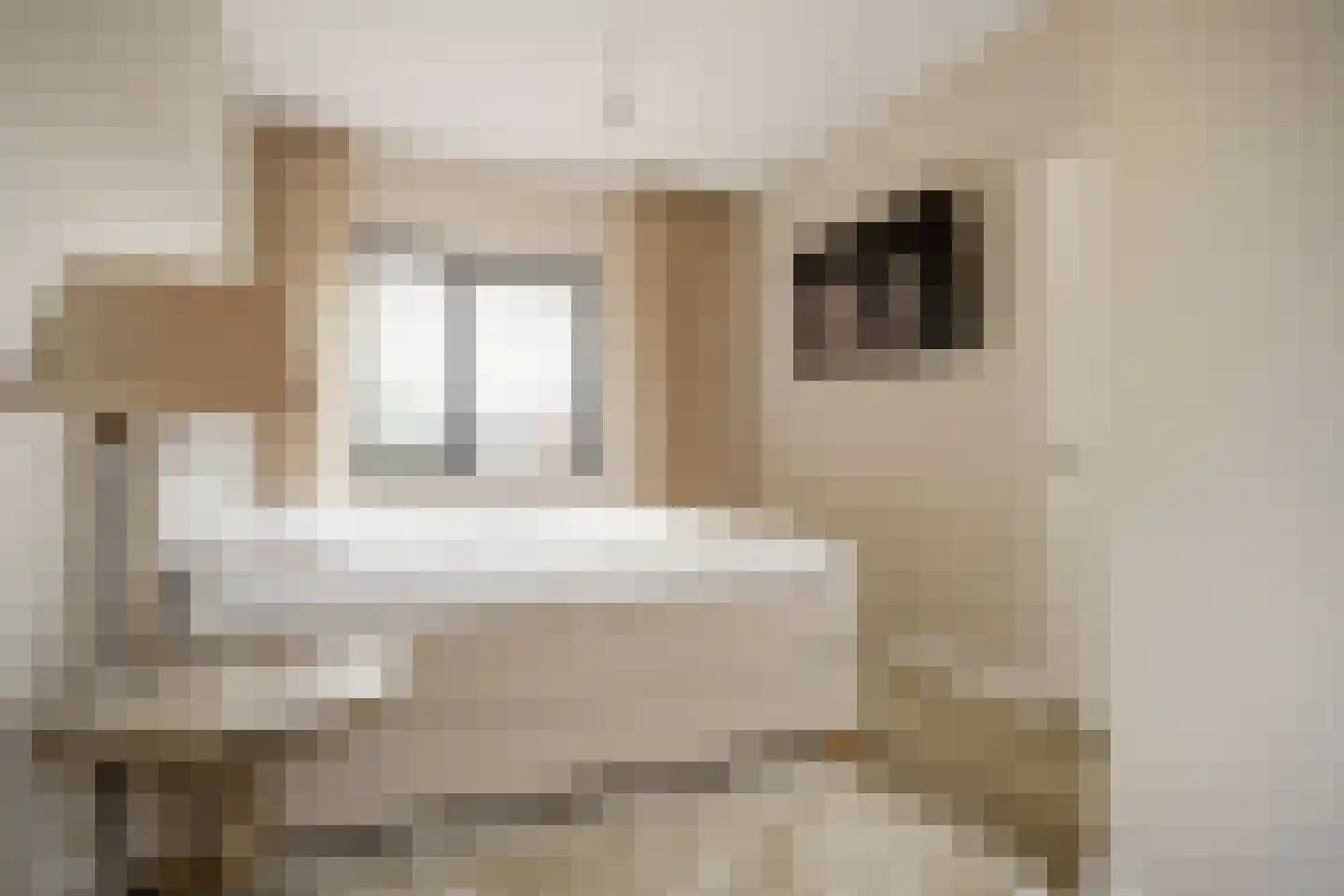 Buitensingel 31 Borne thumbnail 4