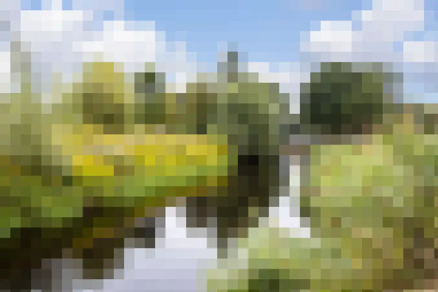 Buitensingel 31 Borne thumbnail 47