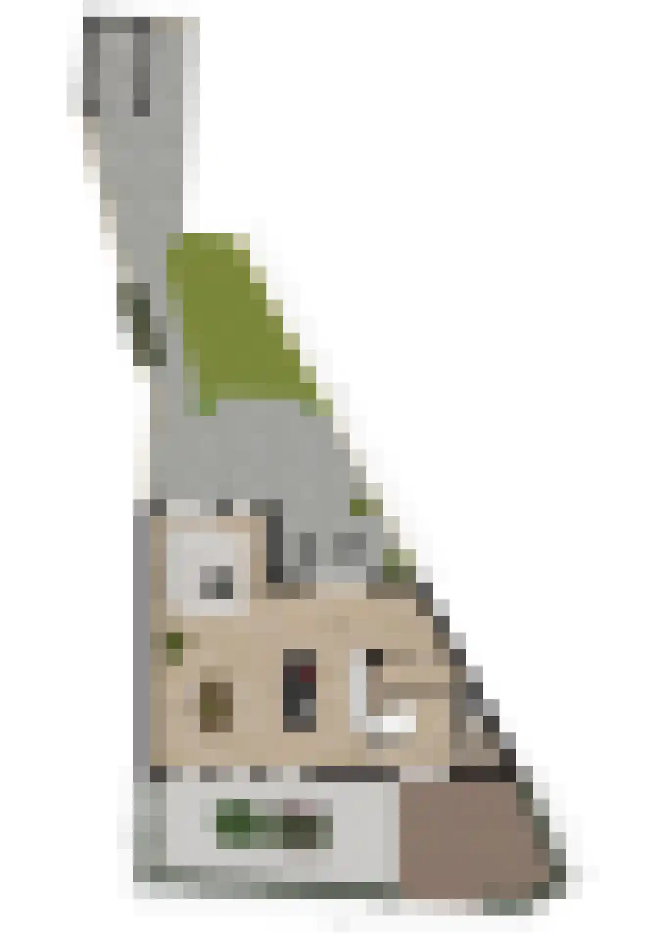Buitensingel 31 Borne thumbnail 54