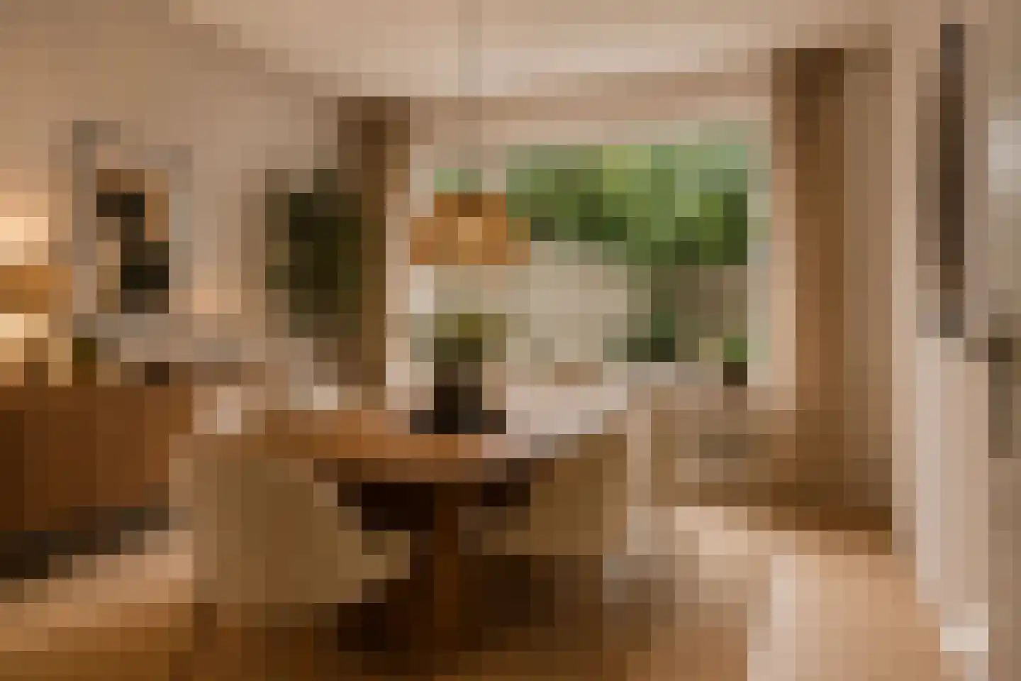 Buitensingel 34 Dieren thumbnail 18