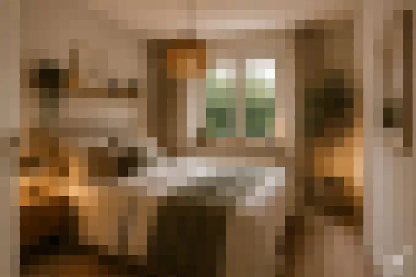 Buitensingel 34 Dieren thumbnail 25