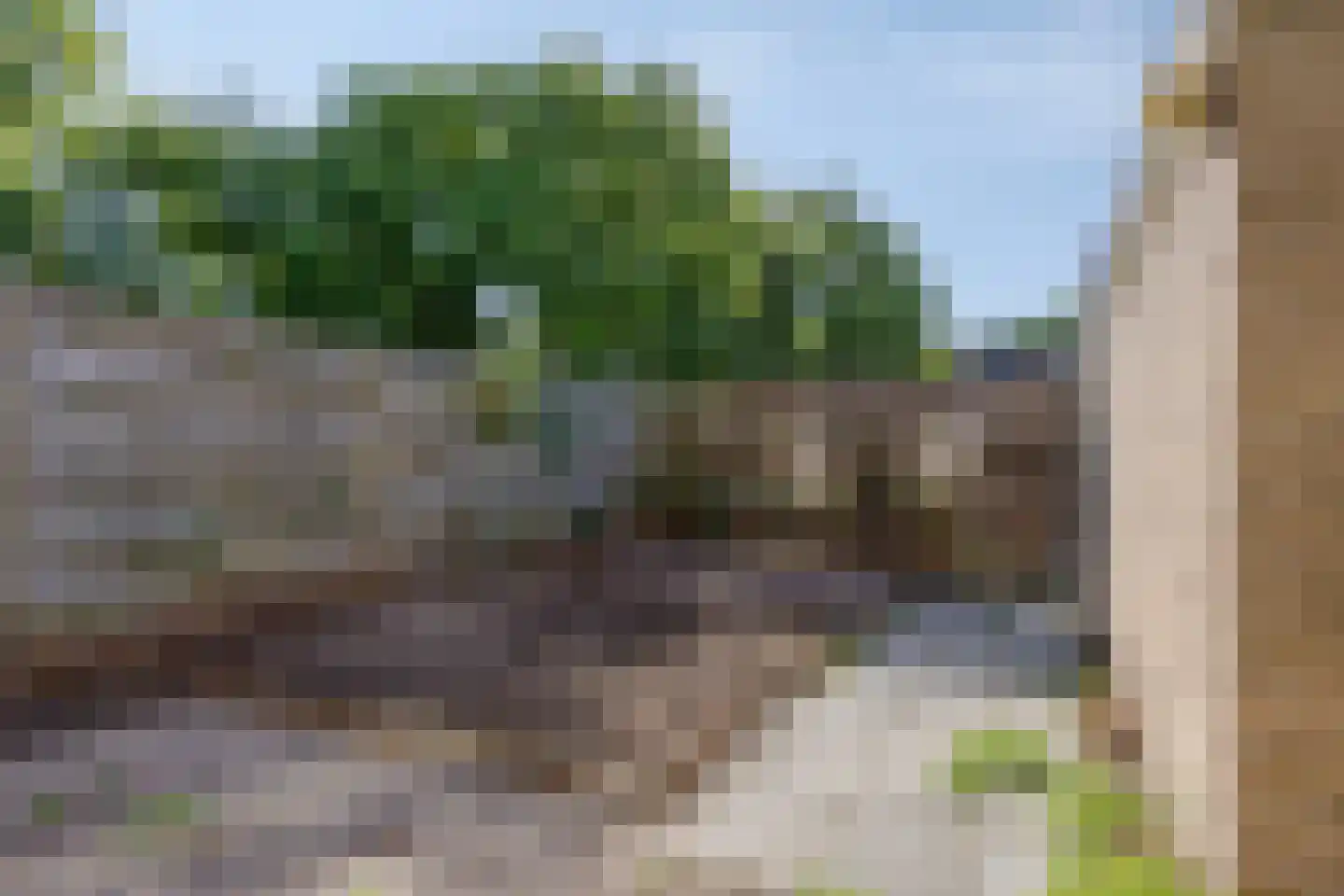 Buitensingel 34 Dieren thumbnail 39