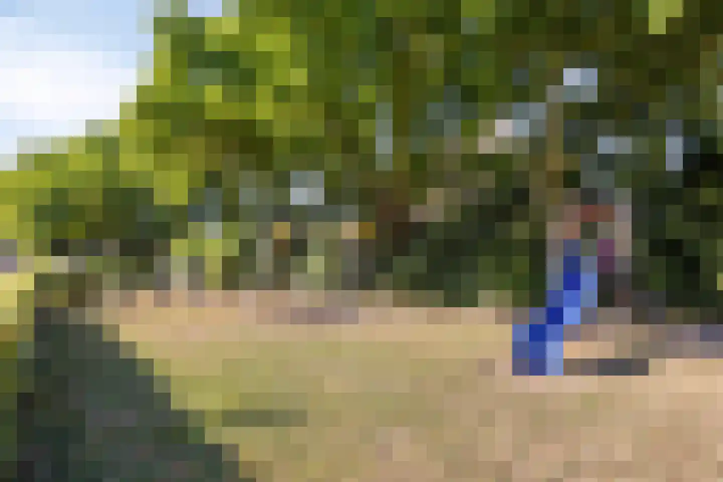 Buitensingel 34 Dieren thumbnail 44